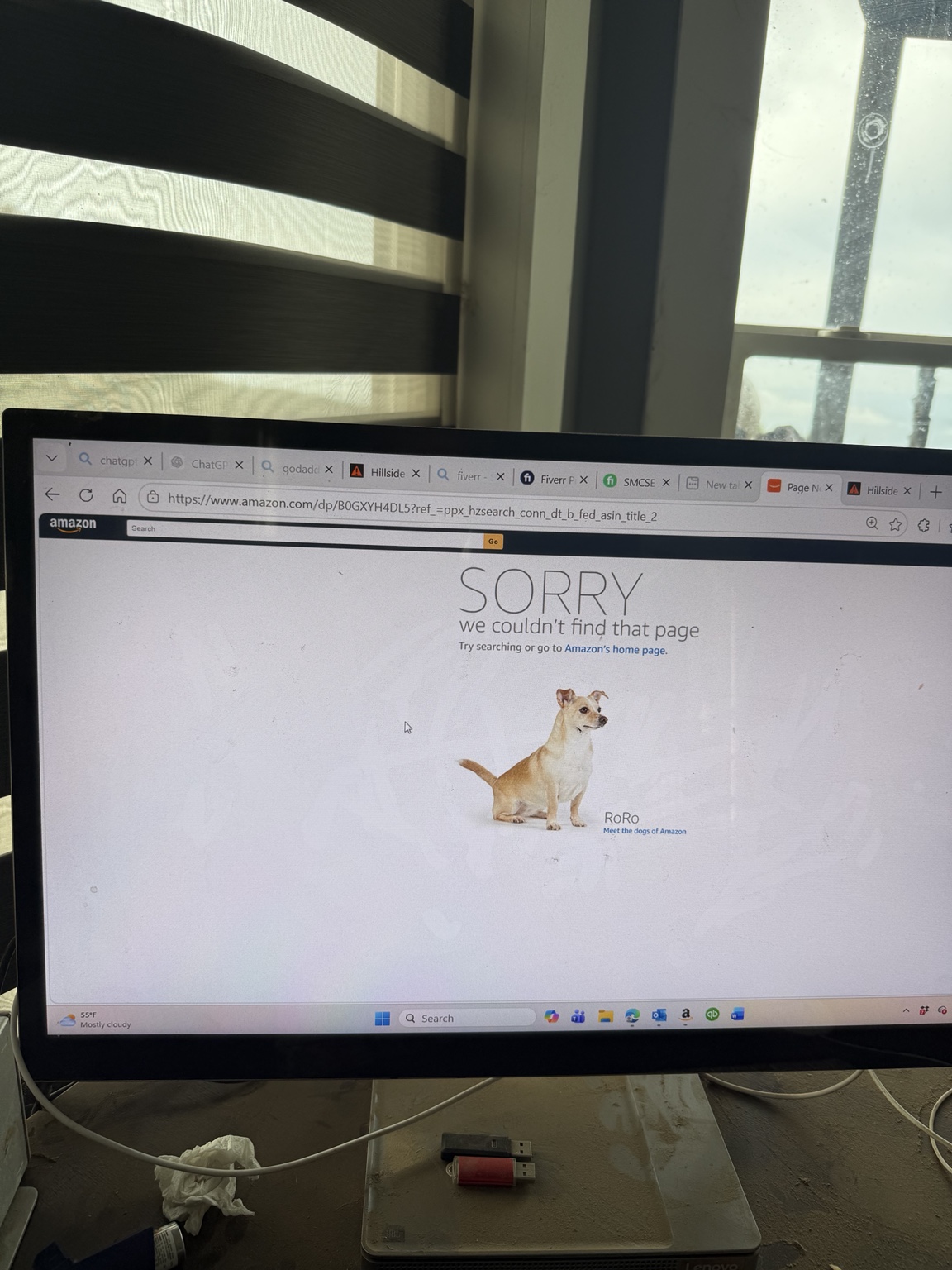 Amazon page for the mower ASIN displaying Sorry, we couldn't find that page.
