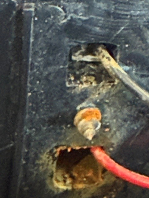 Close-up of corroded electrical contacts and a detached wire inside the delivered remote.